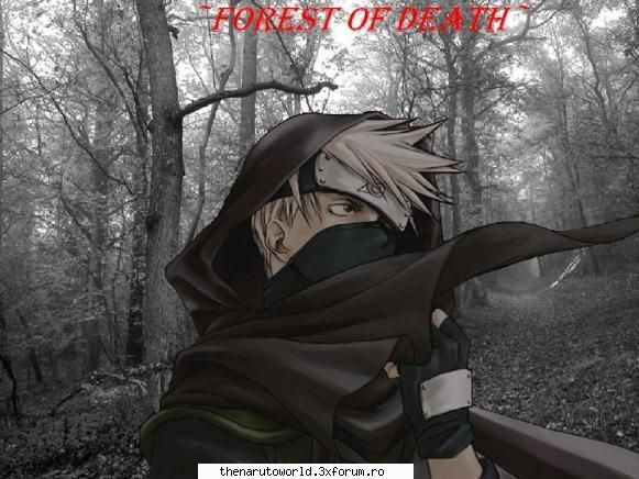 Fiq Naruto - a da o zopa cu kakashi;) - Arhive