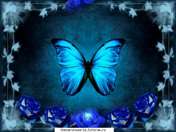 ^^HoT^^or^^Not^^ - not.............. nu-mi place de Hinata.... SA - Jocuri