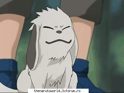 Kiba and Akamaru - Lolipi. - NARUTO