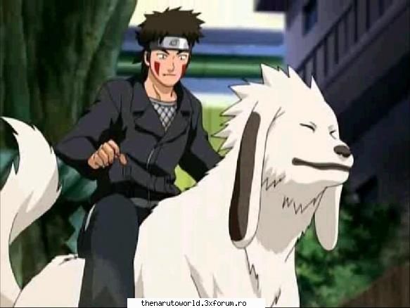 Kiba and Akamaru - E dragalas. Dar cred ca o baga prea mult pa - NARUTO