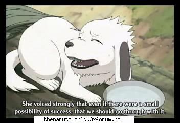 Poze anime`ul NARUTO - DramaQueenxD - NARUTO