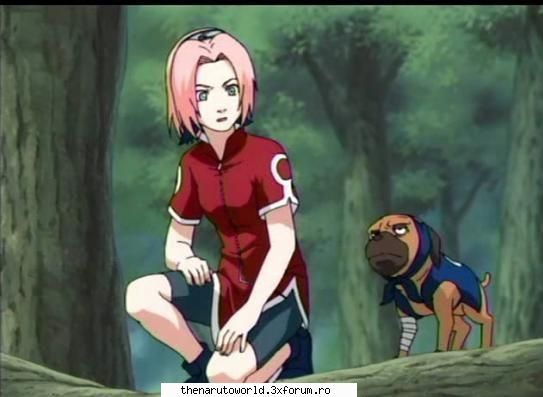 Sakura Haruno - Mariah_Yamacha - NARUTO