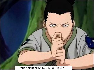 Shikamaru Nara - =Shizune= - NARUTO