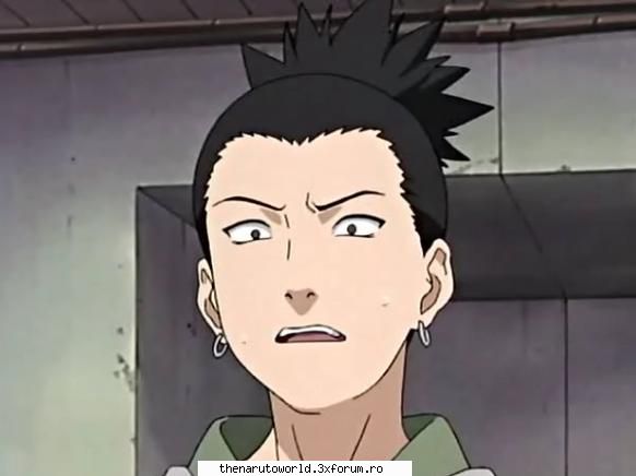 Shikamaru Nara - =Shizune= - NARUTO