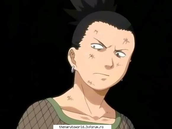 Shikamaru Nara - =Shizune= - NARUTO